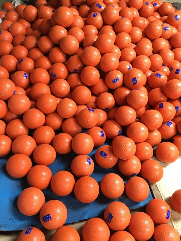 Inflatable Solid Ball