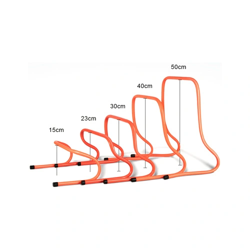 Constaicí Traenála Sacair